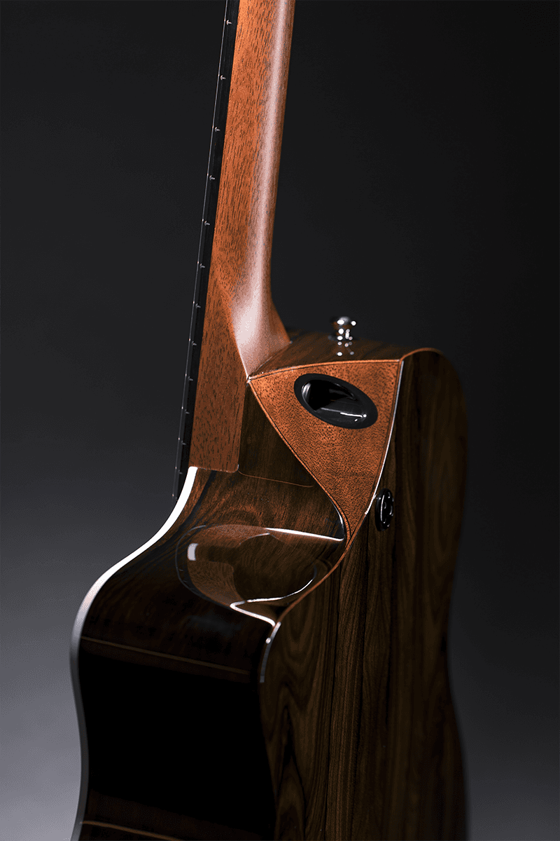 Guitare Sc-13E Special