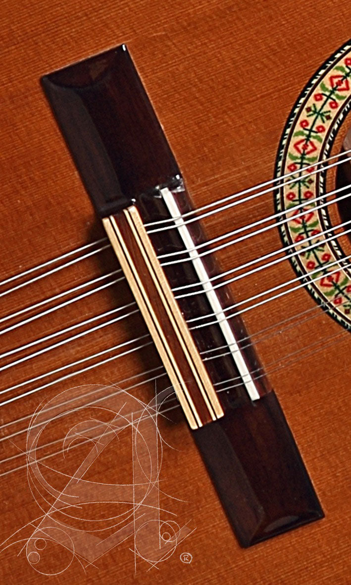 Etude 3C Bandurria + 9531 Housse