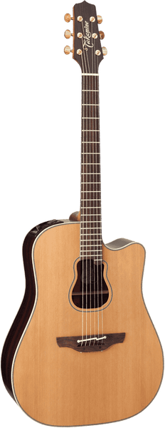Japon Signature Garth Brooks Dreadnought Electro