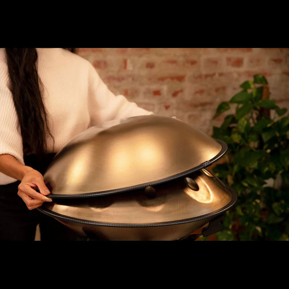 HPSTL100 - Sensory Handpan D Kurd 10 notes
