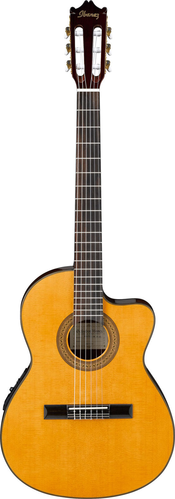 Guitares classiques Ibanez