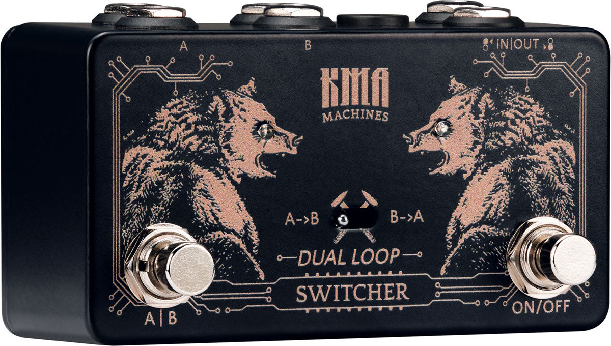 Dual Loop Switcher