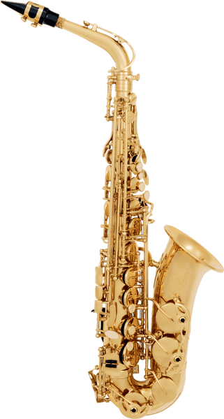 SML Paris A300 Alto Mib Verni