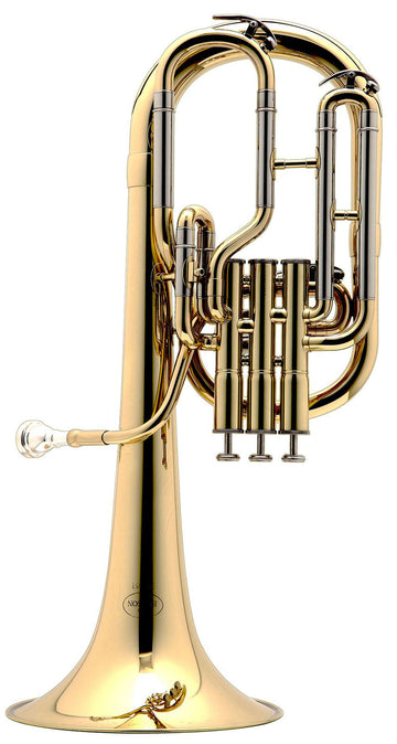 Prodige Mib Verni - BE152-1-0