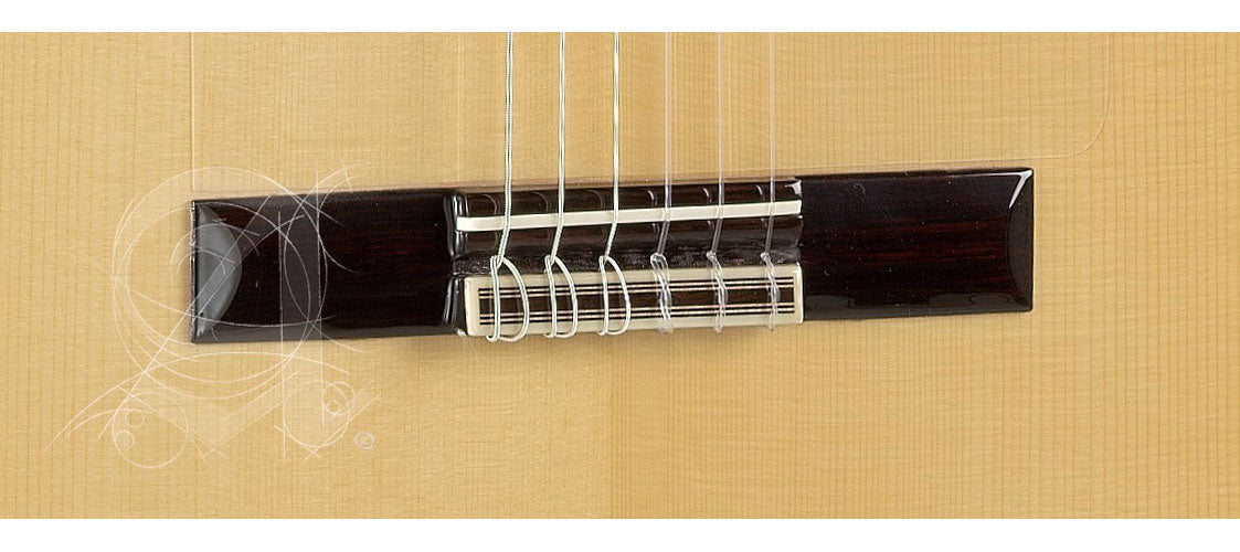 Conservatoire 7FC Flamenco + 9738 25mm Housse
