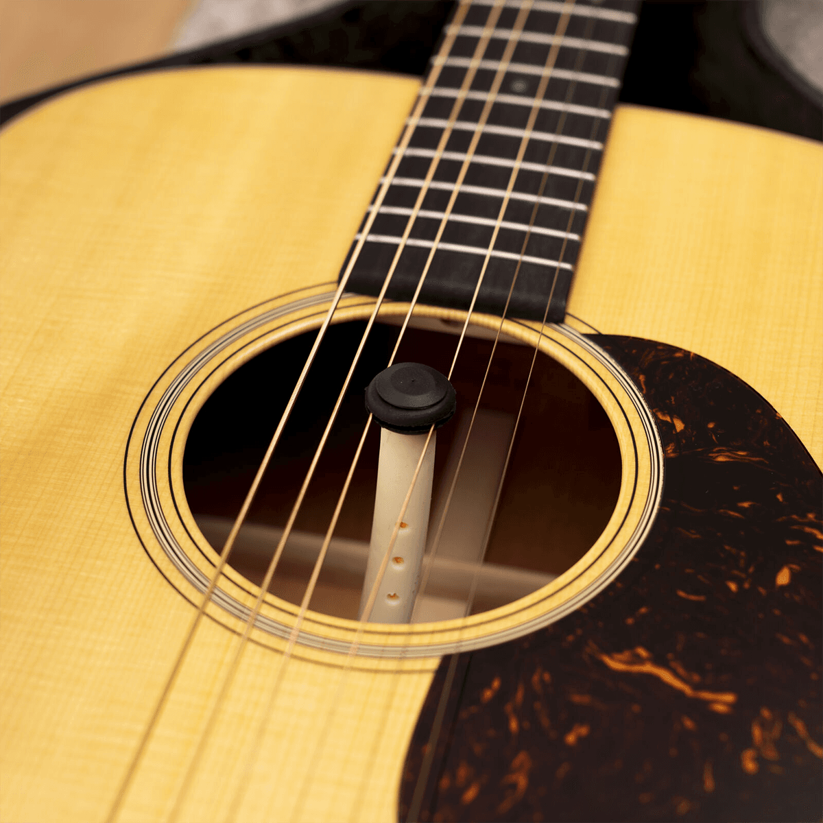 Humidificateur de Guitare RDM 1400GH