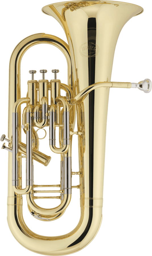 JEP1020 - Sib Verni