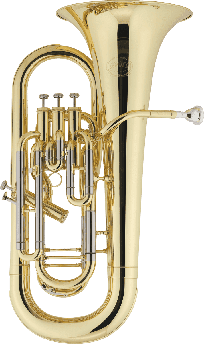 JEP1020 - Sib Verni