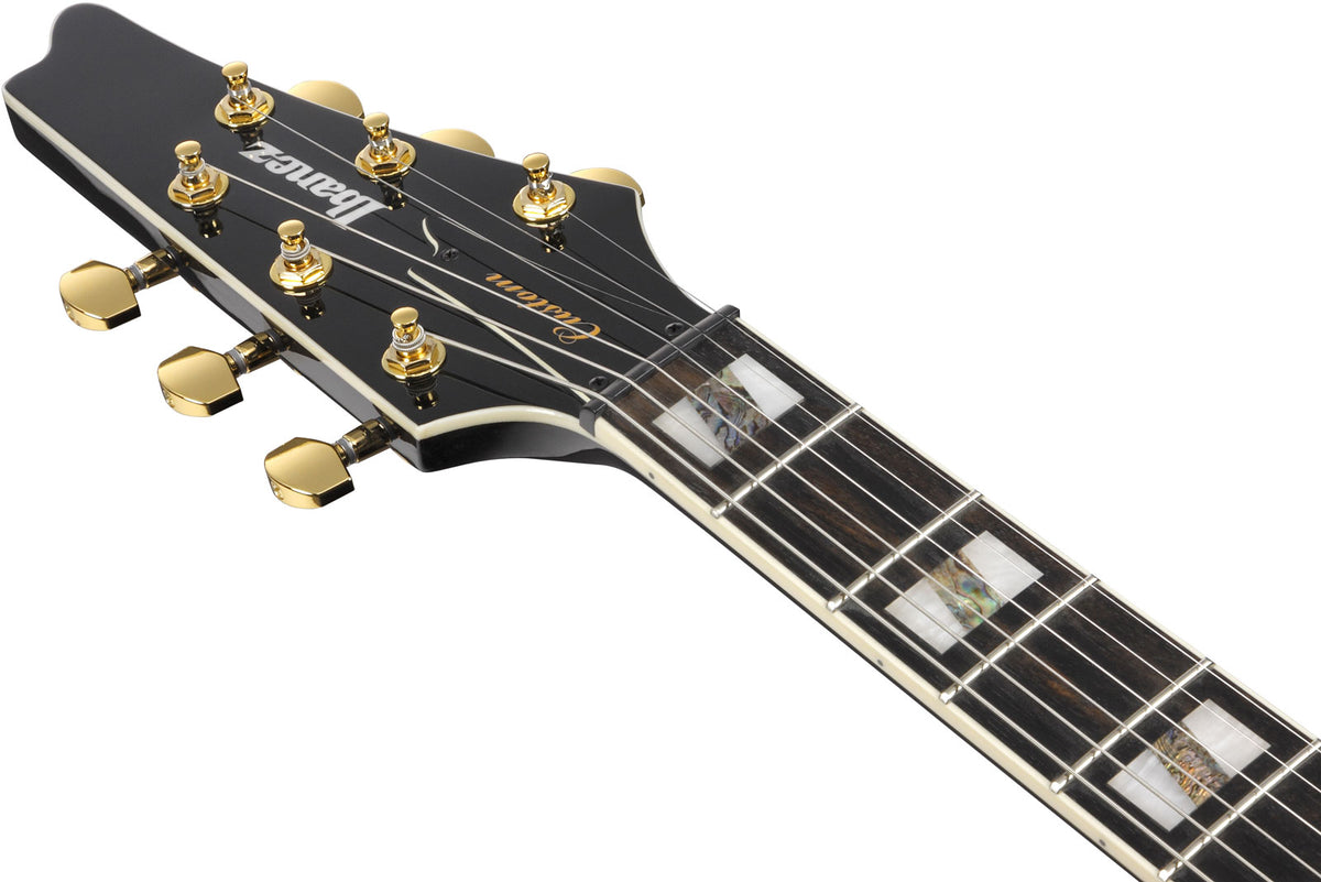 FRM350 Signature Paul Gilbert Black