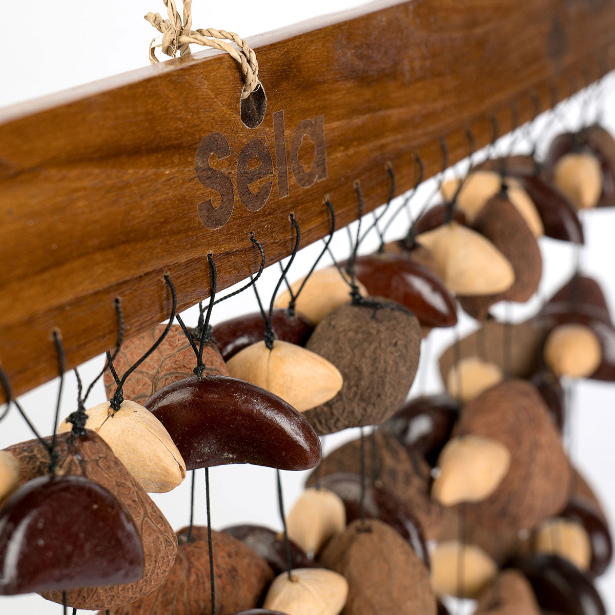 SESDC6 Seed Chime Mixée