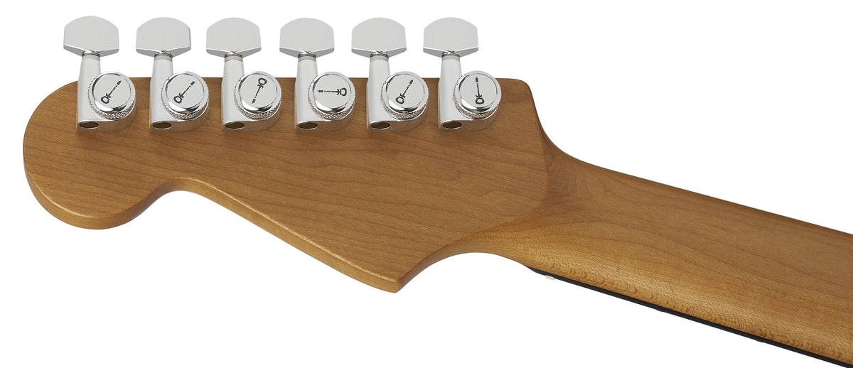 Pro-Mod Plus Dinky DK24 HSS 2PT EB QM Ebo Amber Tiger Eye