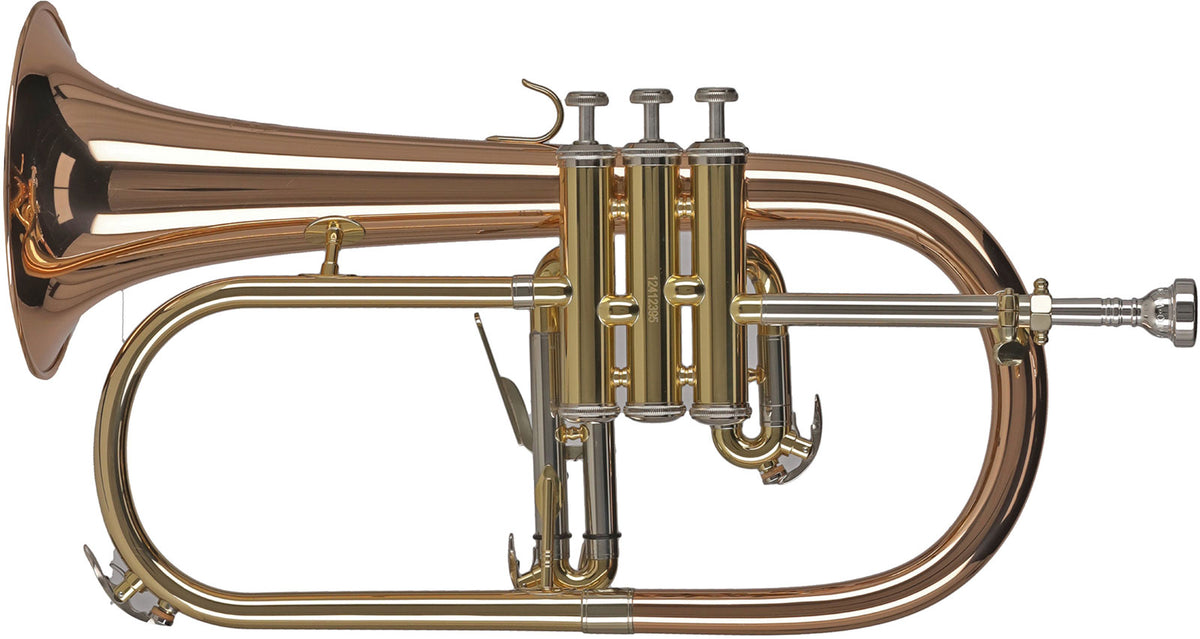 Ambition FH501 Sib Cuivre Rose/Verni