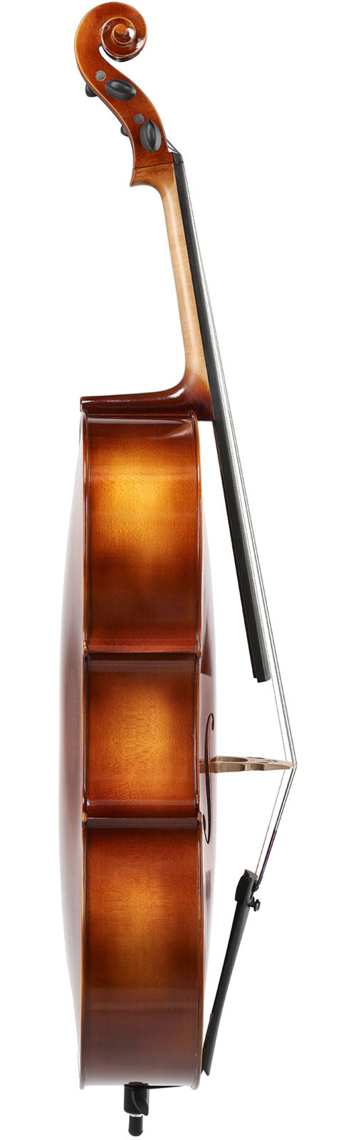 Violoncelle Anniversaire 4/4 Set Up