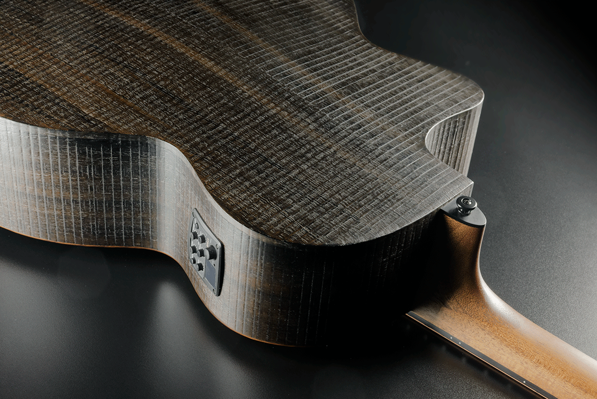 Sauvage Basse Electroacoustique Ctw