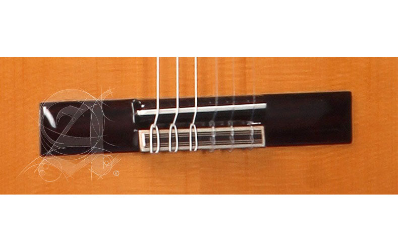 Etude 3F Ct E1 Flamenco + 9738 25mm Housse