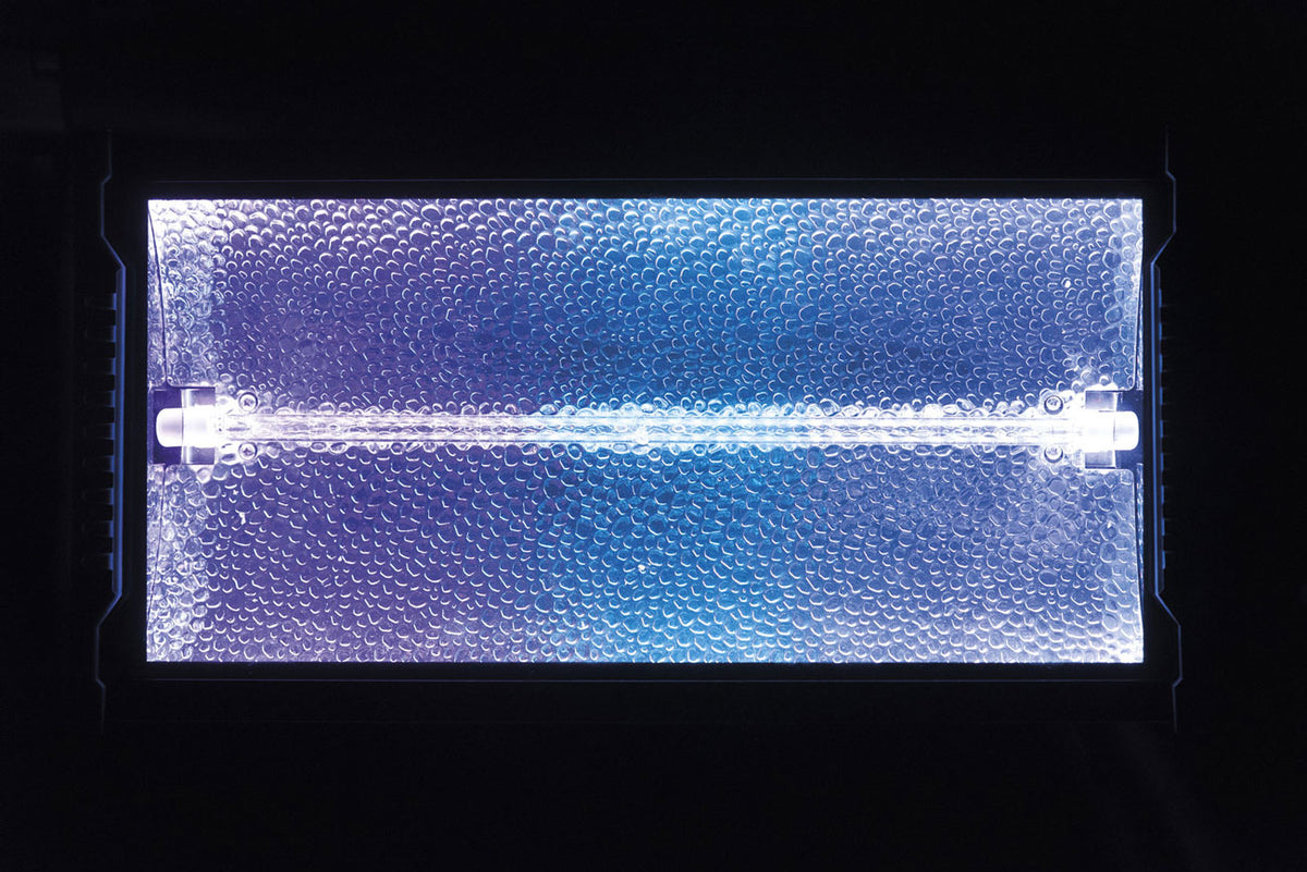 Titan Strobe Blaze