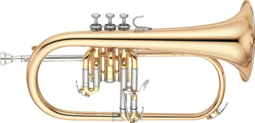 YFH631G Sib Verni
