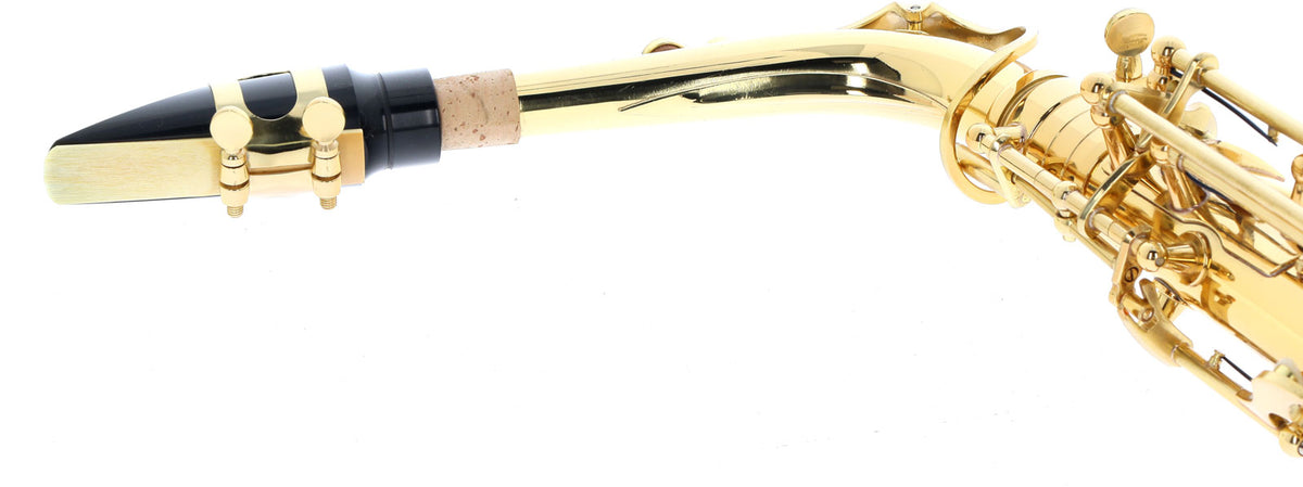 WSA100 - Alto Mi B Verni