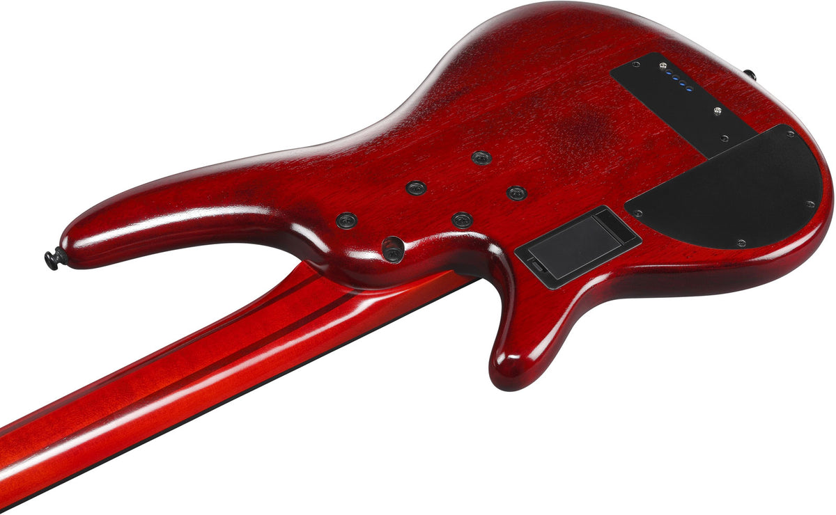 SRD900F-BTL Brown Topaz Burst Bass Workshop