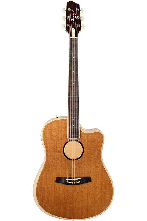 Aeg-1 Torrefied