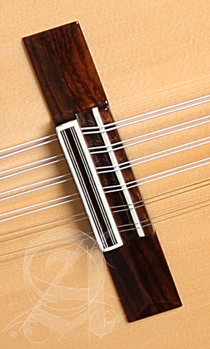 Conservatoire L-6Fc Lutes + 9534 Housse
