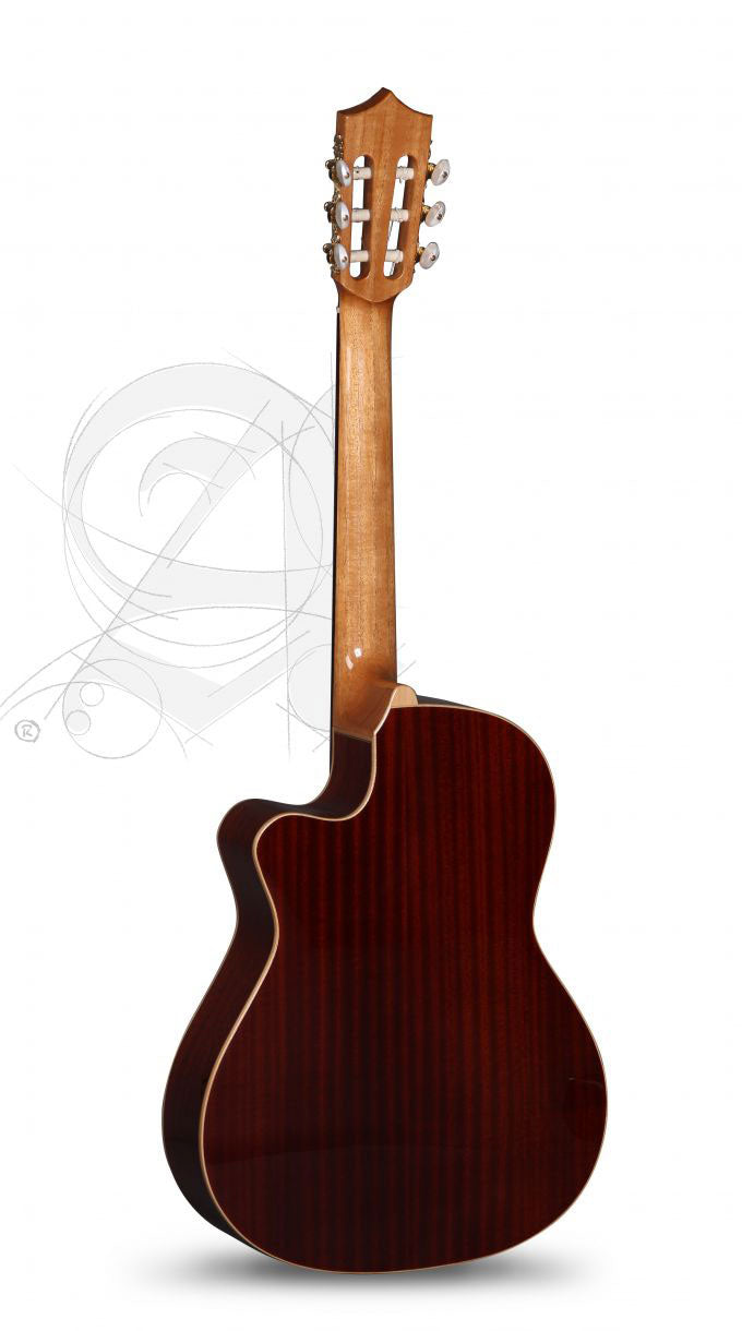 Concert CS-1 CW E1 Crossover + 9738 25mm Housse