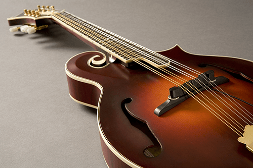 Micro Bombe pour Mandoline M-300 Serie Nashville