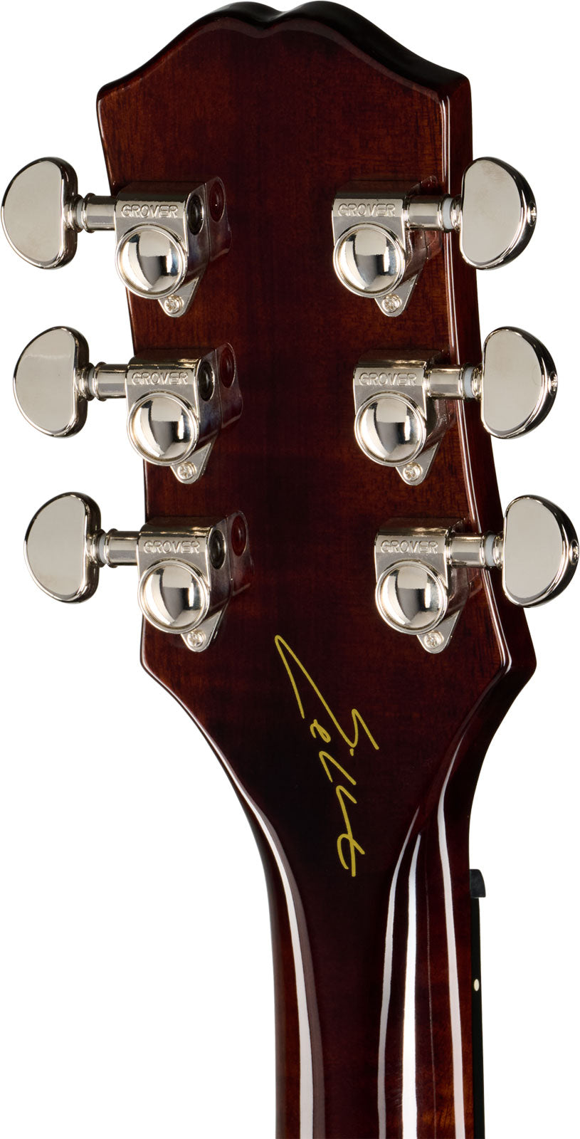 Hummingbird Signature Eric Church Dark Cobra Burst IBG