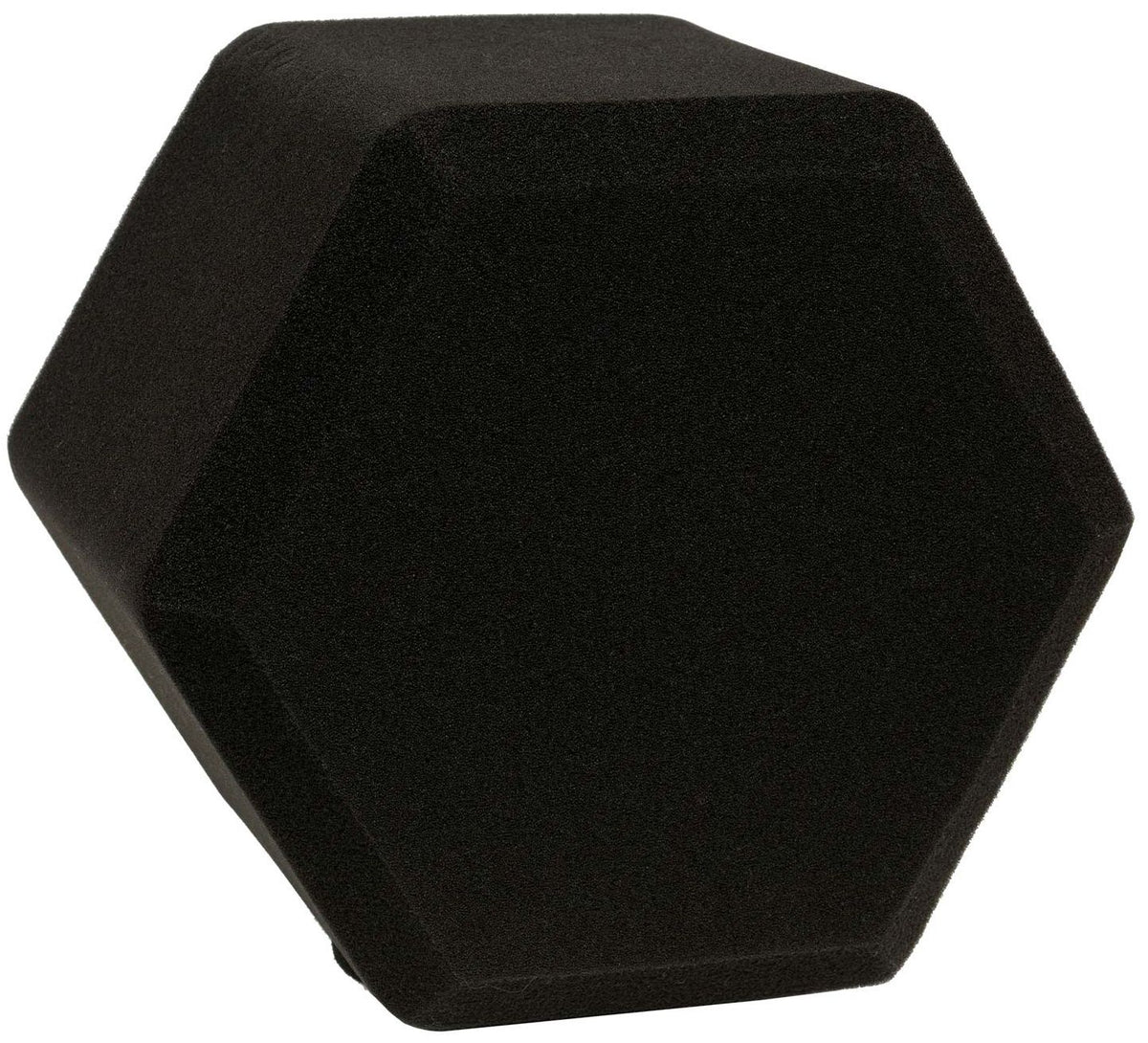PF06 Filtre Anti-Pop
