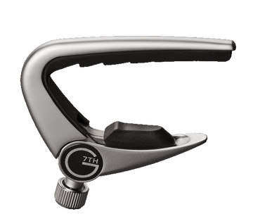 Newport 12 Cordes Acoustique/electrique Argent