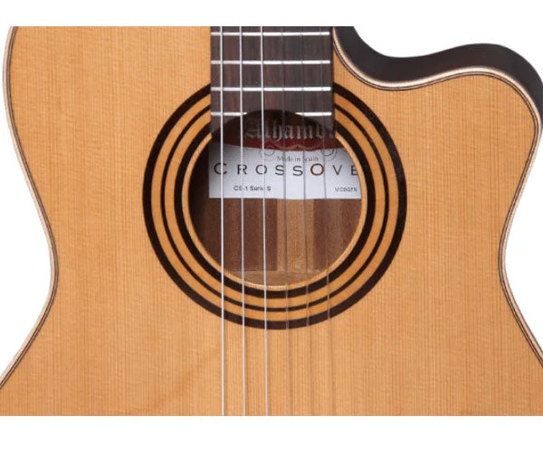 Concert Cs-1 Cw E1 Crossover + 9738 25mm Housse
