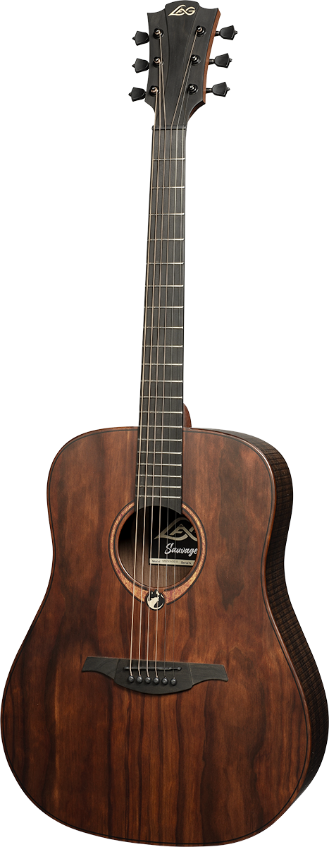 Sauvage Dreadnought avec housse