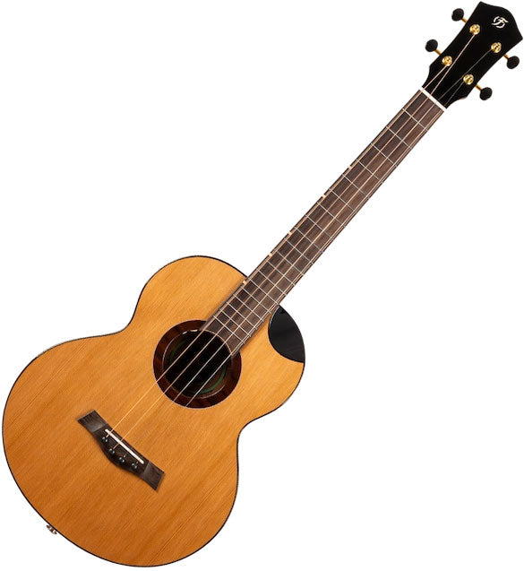 Lily Steel String Baritone EQ-A