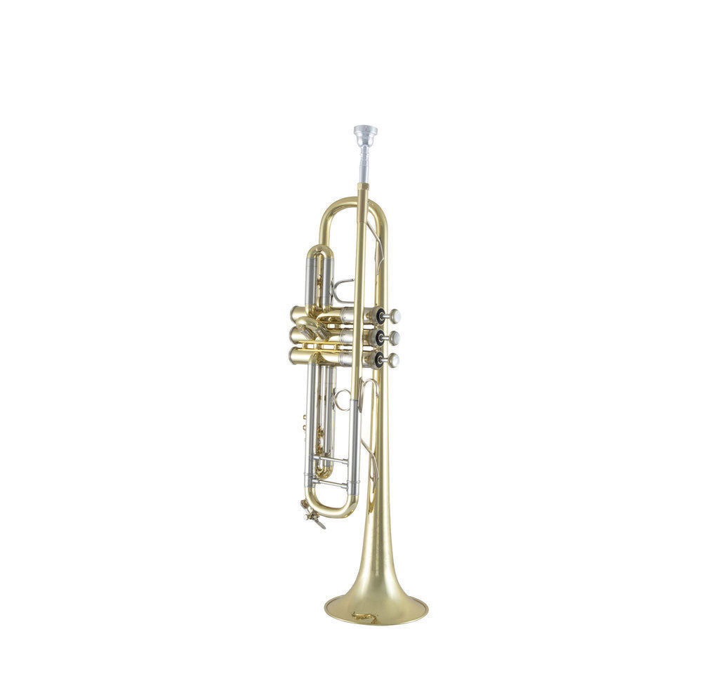 19043 Stradivarius - Sib Vernie