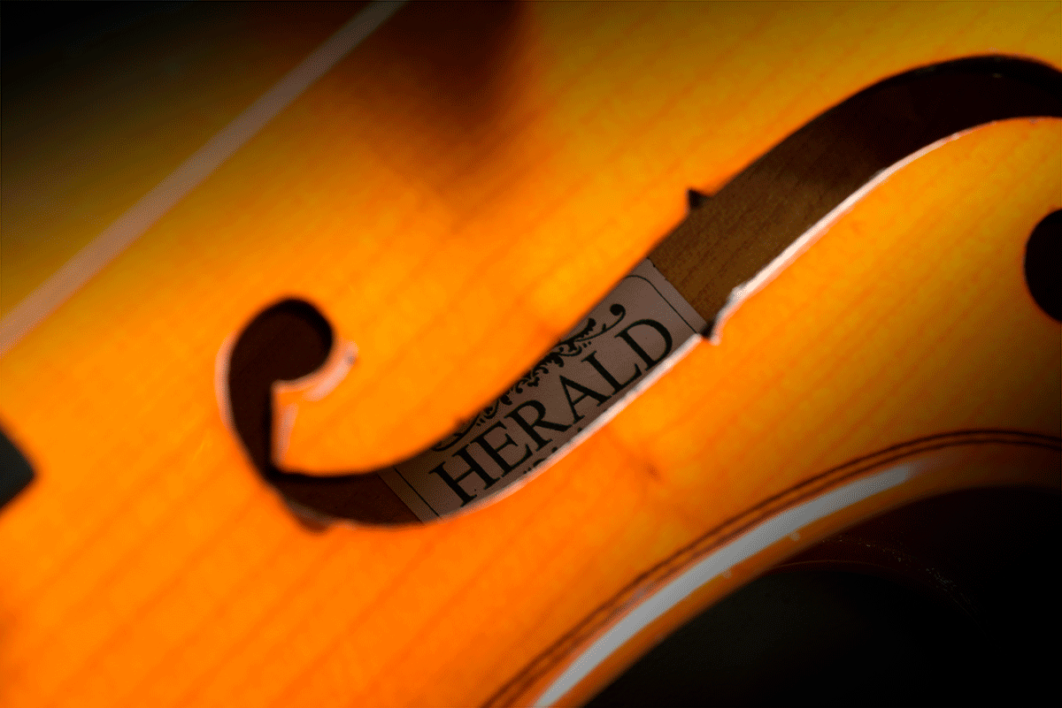 Violon Massif 3/4