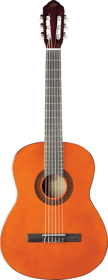 CS-10 4/4 Natural + Housse