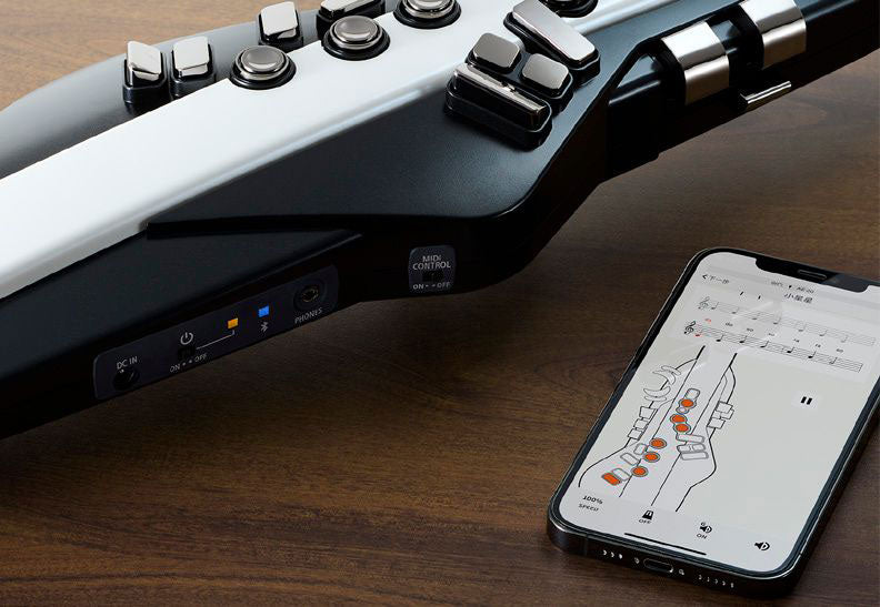 Aerophone AE-20