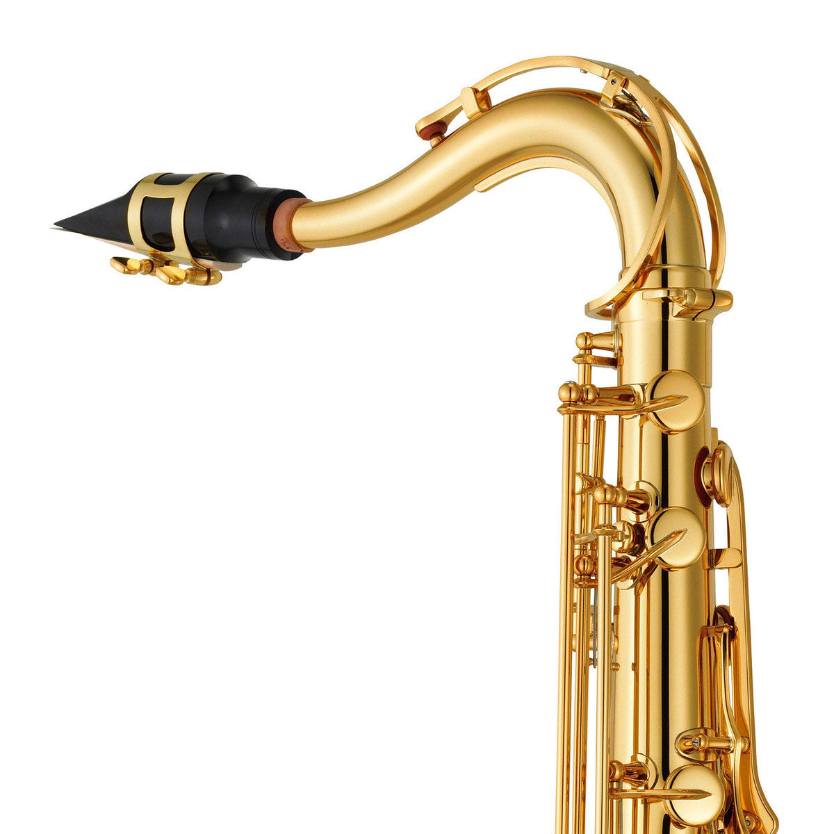 YTS-280 - Ténor Sib Verni