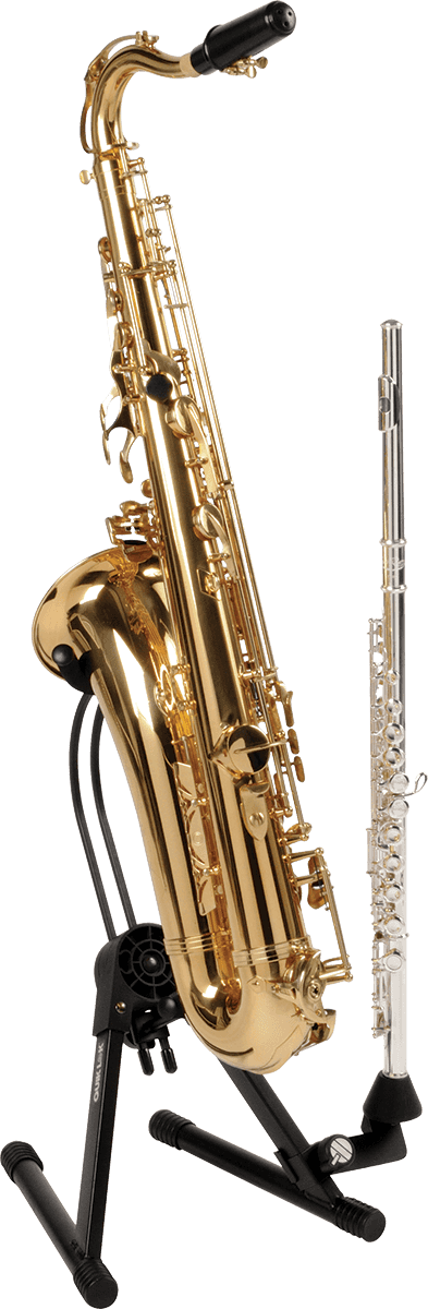 Wi/992 Support Optionnel Pour Flute/clarinette