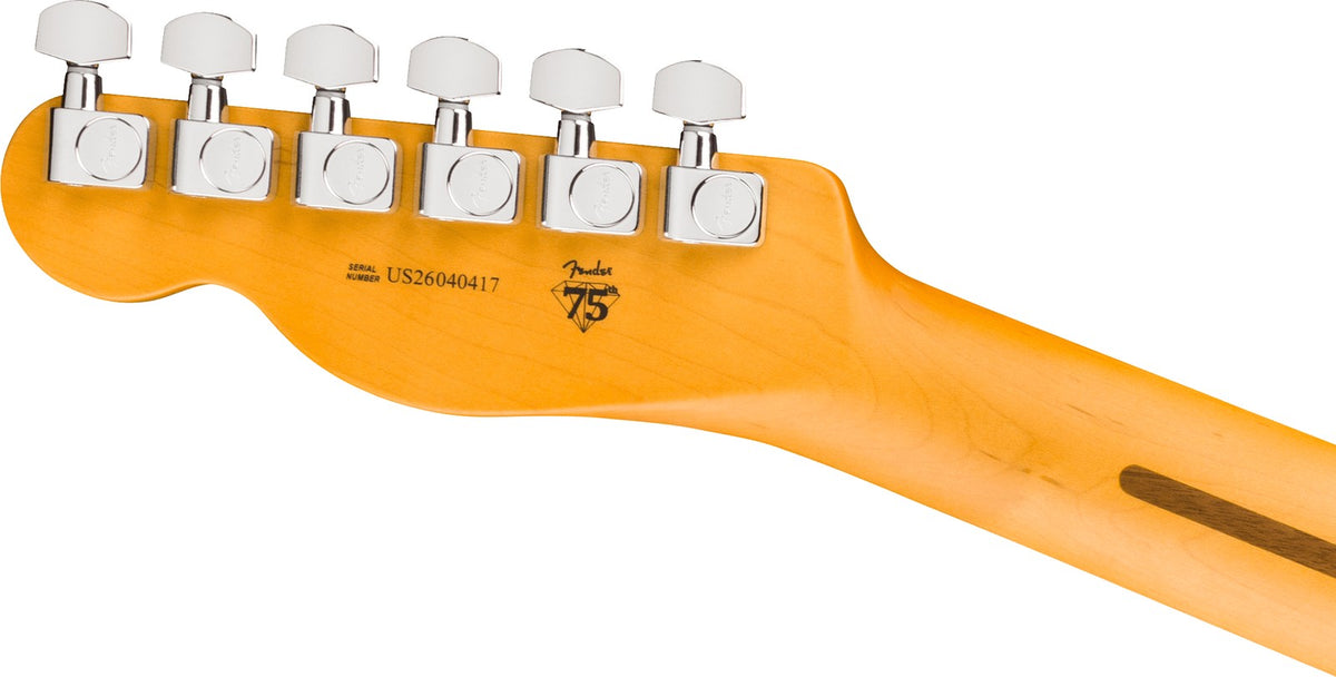 Telecaster American Professional, RW Oxblood