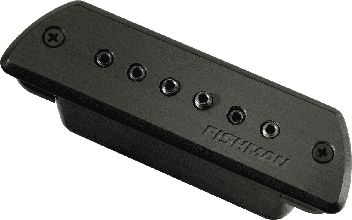 Fishman Micro Humbucker de Rosace Blackstack Passif