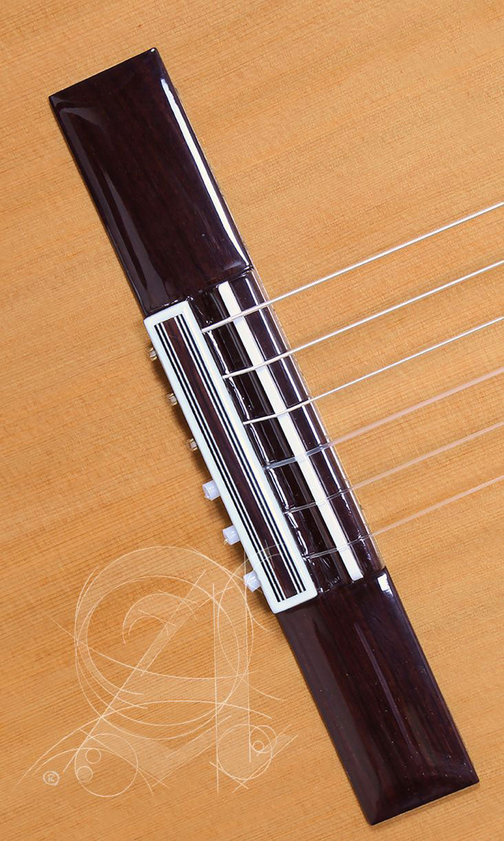 Etude Iberia Ziricote Ctw E8 + 9738 25mm Housse