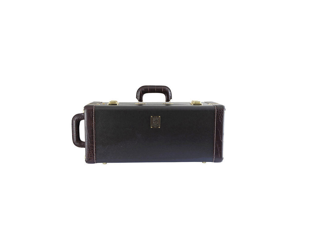 19043 Stradivarius - Sib Vernie