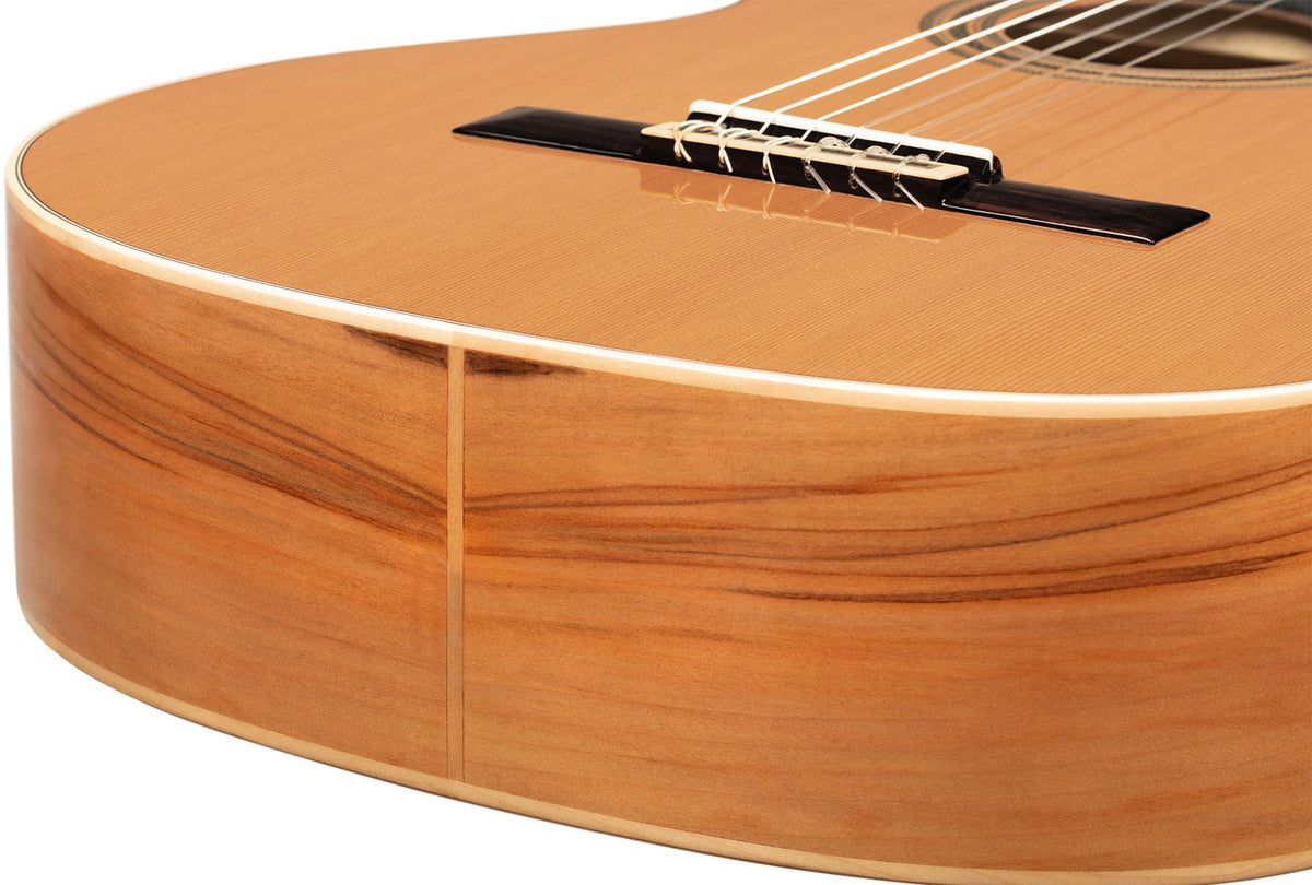 Traditional 4/4 + Pro Gig Bag