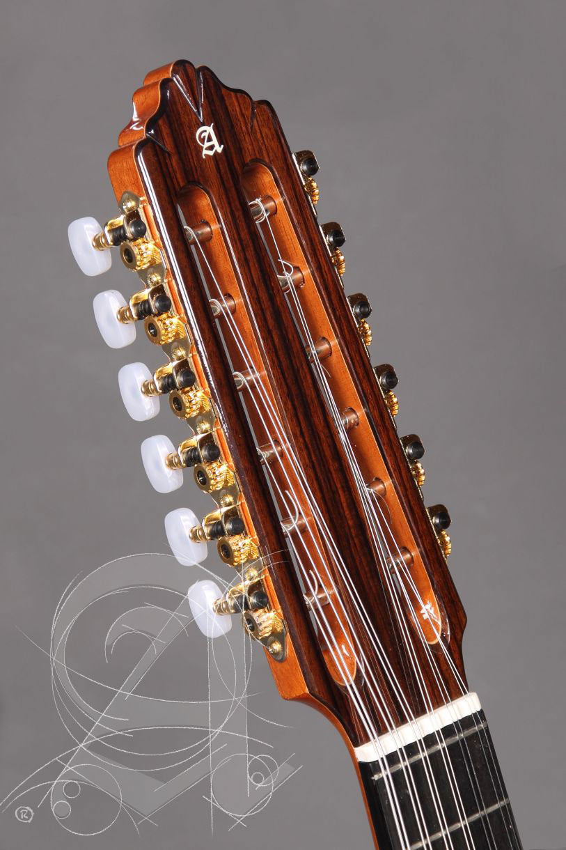 Conservatoire L-6P A Lutes + 9534 Housse