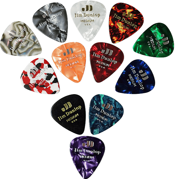 12 x Variety Pack Medium