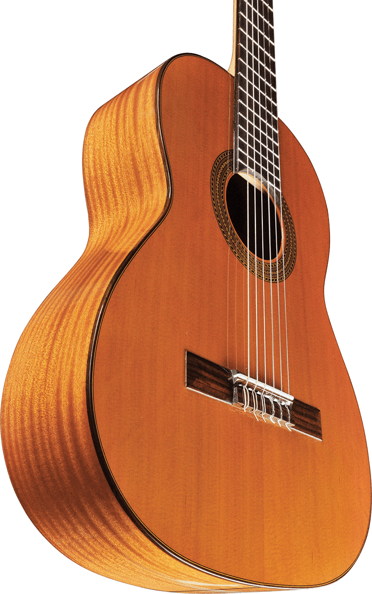 Vibra 300 4/4 Natural