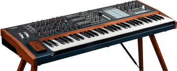 Polybrute