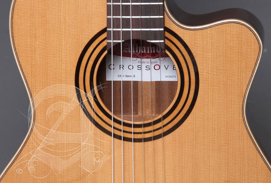 Concert CS-1 CW E1 Crossover + 9738 25mm Housse