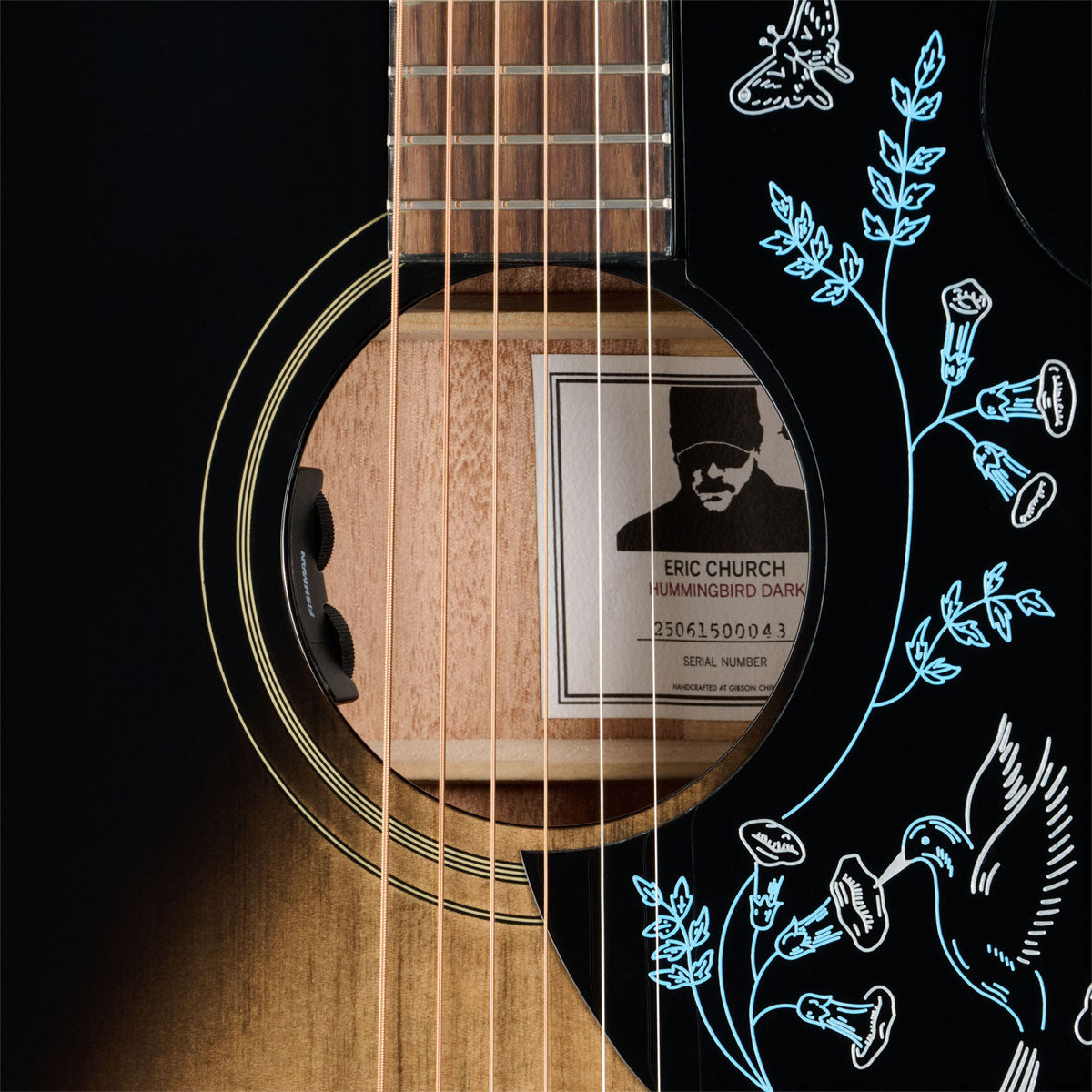 Hummingbird Signature Eric Church Dark Cobra Burst IBG
